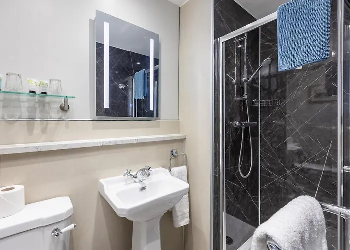 The Black Swan Hotel 3*