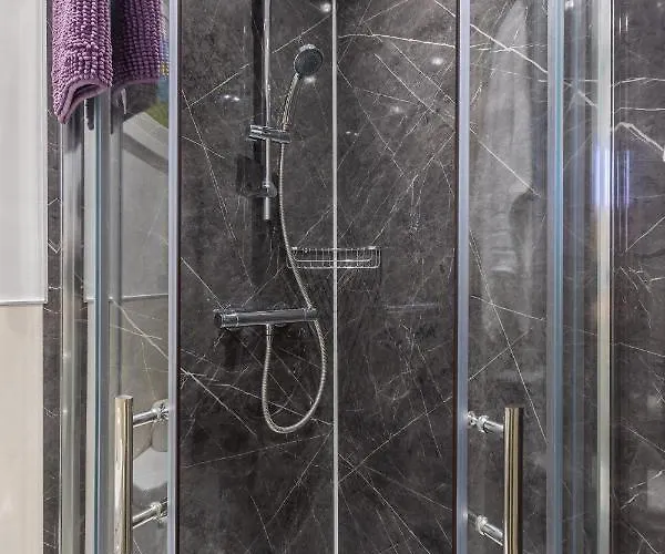 Hotel The Black Swan 3*